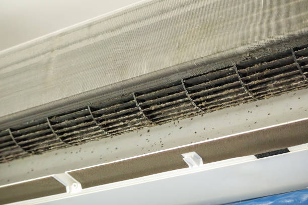 Best Local Air Duct Cleaning Services  in Campbell, FL